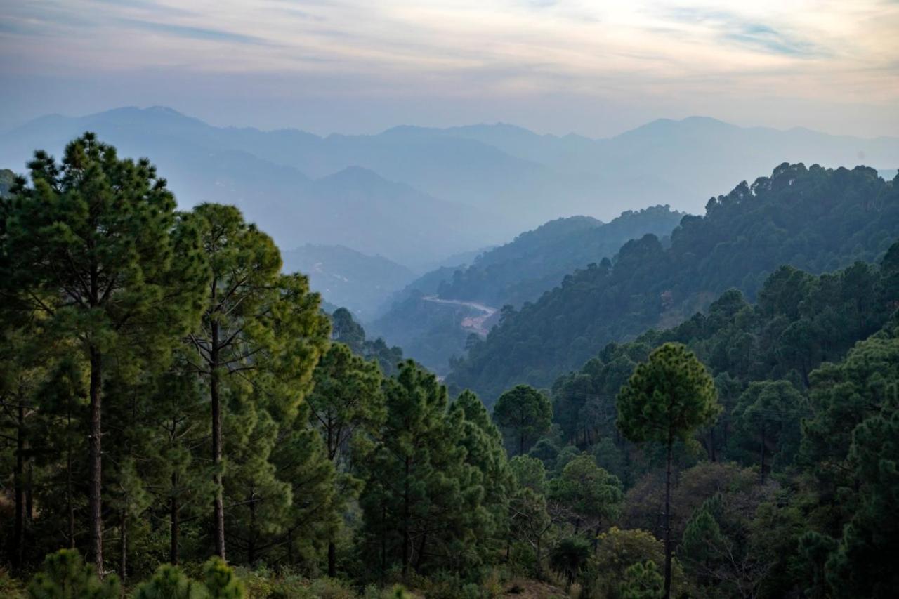 Apartmán Kanda Road 4 Kasauli Exteriér fotografie
